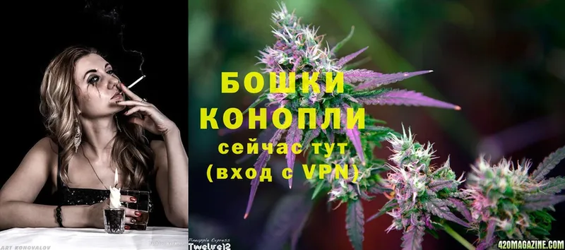 Шишки марихуана White Widow  Новошахтинск 